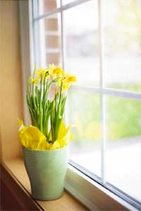 Clean Window Using Natural, Non-Toxic Homemade Glass Cleaner